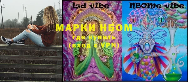 стаф Баксан